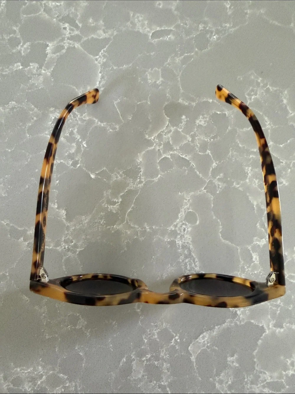 Illesteva Leonard Sunglasses in Tortoise
